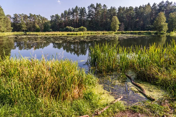 Lake in Poland — Stock Photo, Image