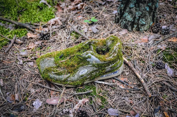 Ormanda eski ayakkabı — Stok fotoğraf