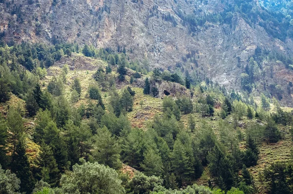 Samaria Gorge in Greece — Stock Photo, Image