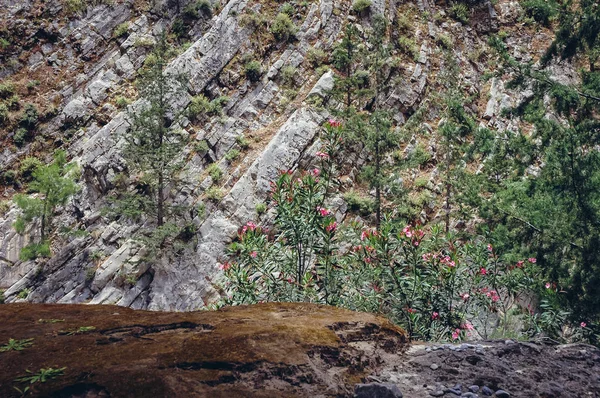 Samaria Gorge in Greece — Stock Photo, Image