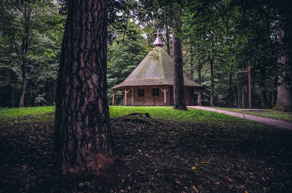 森のチャペル — ストック写真