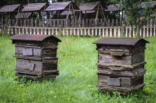 Old beehives in garden — Stock Photo, Image
