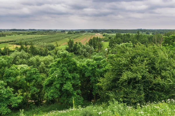 Vista desde el castillo en Czersk — Foto de Stock