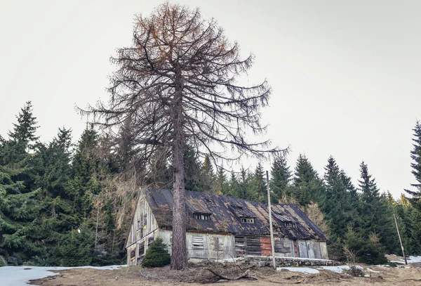 Edificio abbandonato nelle montagne del gufo in Polonia — Foto Stock