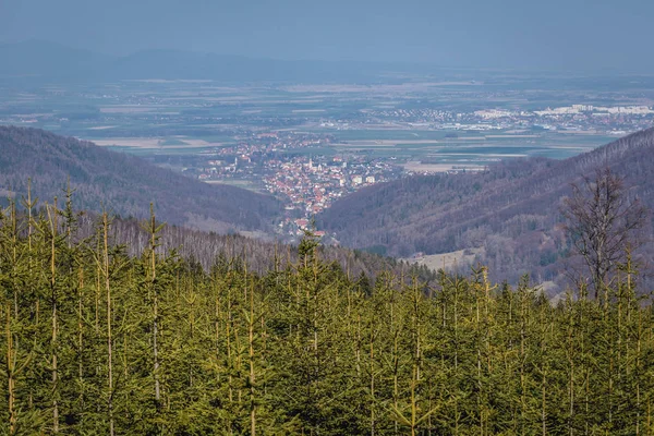 Polonya'da Baykuş Dağları — Stok fotoğraf