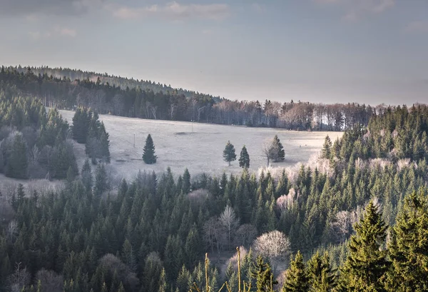 ポーランドのフクロウ山脈 — ストック写真
