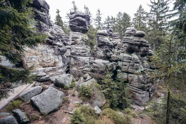 Ostas in der Tschechischen Republik — Stockfoto