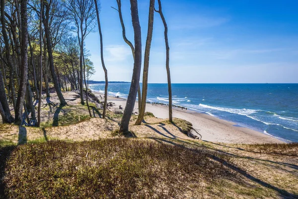 Cliff in Polonia — Foto Stock