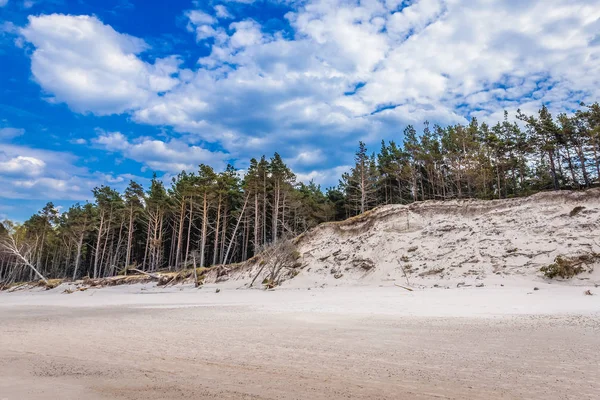 Parco nazionale slowinski in Polonia — Foto Stock