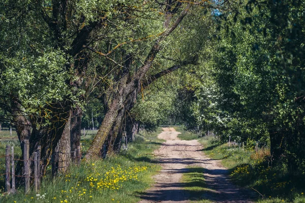 Polonya 'da toz yolu — Stok fotoğraf