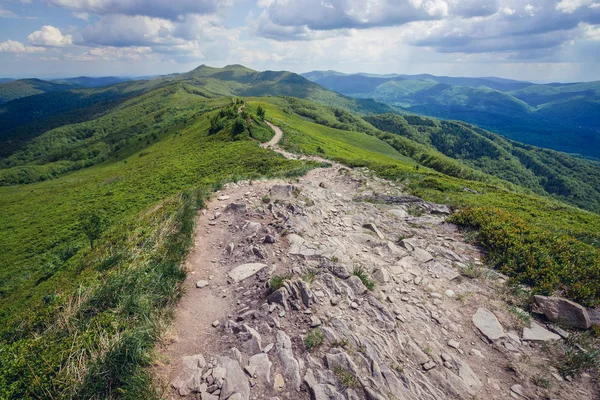 El camino en las montañas Bieszczady — Foto de Stock