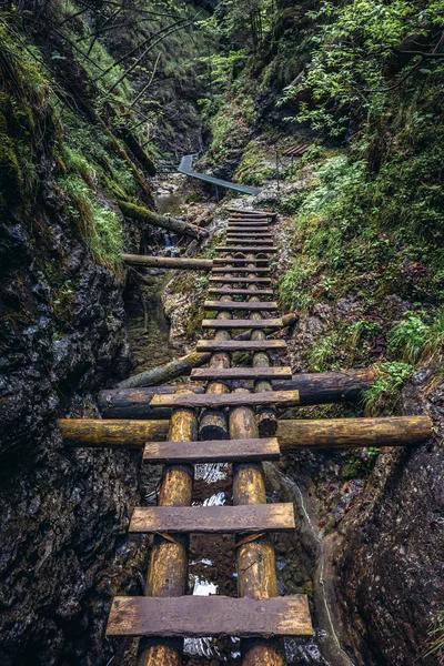 Sucha Bela trail in Slovak Paradise — Stok Foto