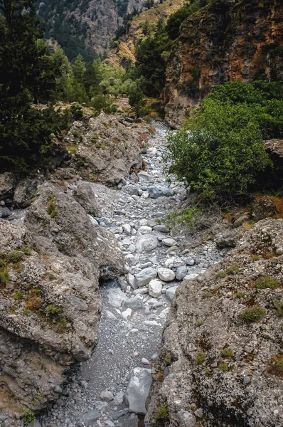 Samaria Gorge in Greece — Stock Photo, Image