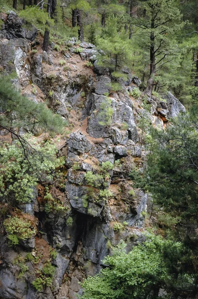 Самарійна ущелина в Греції — стокове фото
