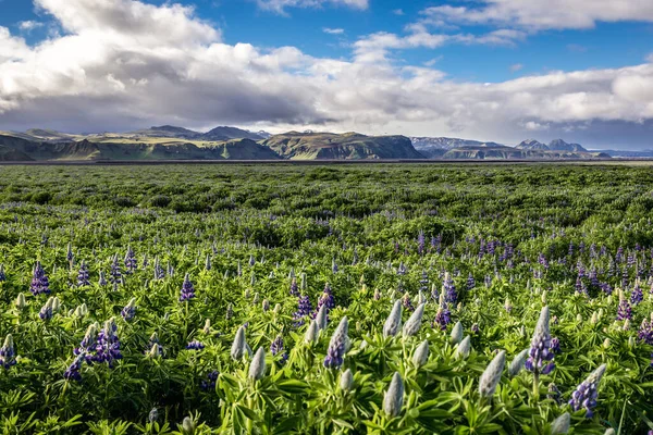 冰岛努特卡鲁平平原上的空中景观 — 图库照片