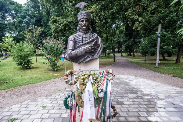 Carei Romania July 2019 Sandor Karolyi Sculpture Front Karolyi Castle — Stock Photo, Image