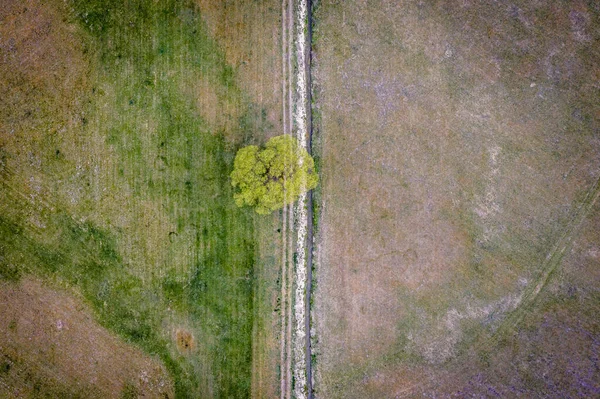 波兰马佐维泽地区干旱期间草原上的水渠无人驾驶照片 — 图库照片