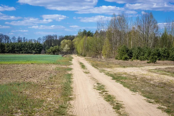 Route Non Goudronnée Entre Les Champs Les Prairies Dans Comté — Photo