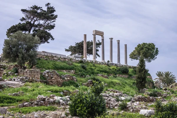 Römische Säulen Archäologischer Umgebung Der Burg Byblos Libanon Einer Der — Stockfoto