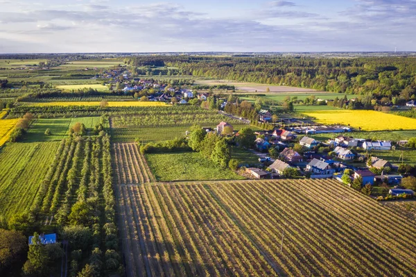 Drone View Fields Rogow Village Województwo Łódzkie — Zdjęcie stockowe