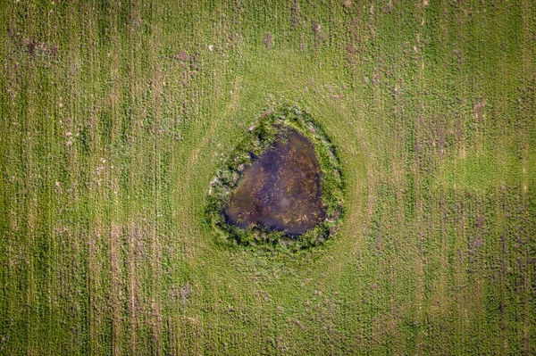 Drohnenblick Auf Einen Kleinen Teich Auf Einem Feld Der Region — Stockfoto