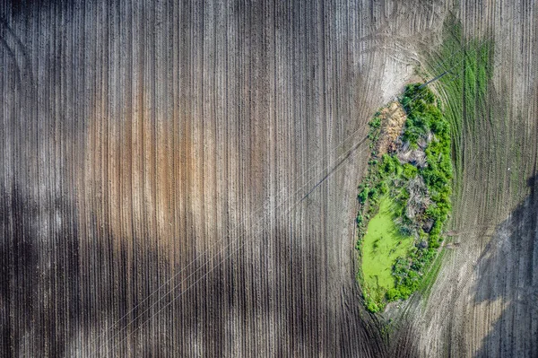 Drone Vista Pequeño Estanque Verde Zona Campo Arado Región Mazowsze —  Fotos de Stock