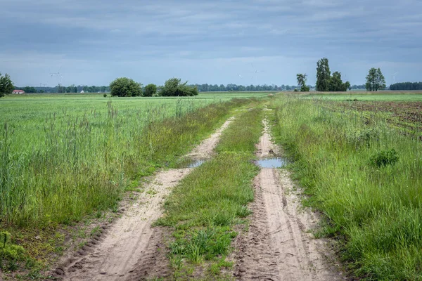 Chemin Terre Parmi Les Prairies Dans Région Mazowsze Pologne — Photo