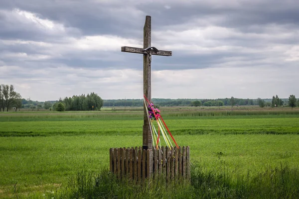 Starý Dřevěný Katolický Kříž Louce Oblasti Mazowsze Polsku — Stock fotografie