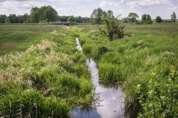 Canal Agua Entre Prados Región Mazowsze Polonia — Foto de Stock