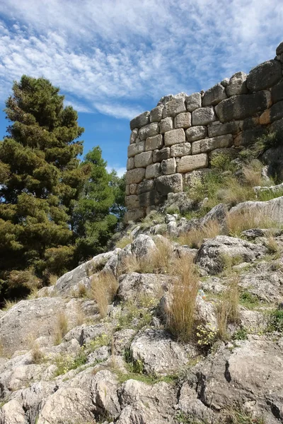 Ett Träd Och Ett Fragment Stenmur Antik Akropolis Mykene Grekland — Stockfoto