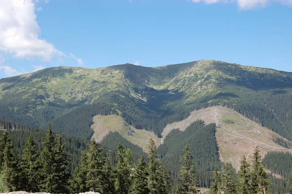 Paisaje Verano Con Montañas Verdes Cielo Azul Complejo Jasna Los —  Fotos de Stock