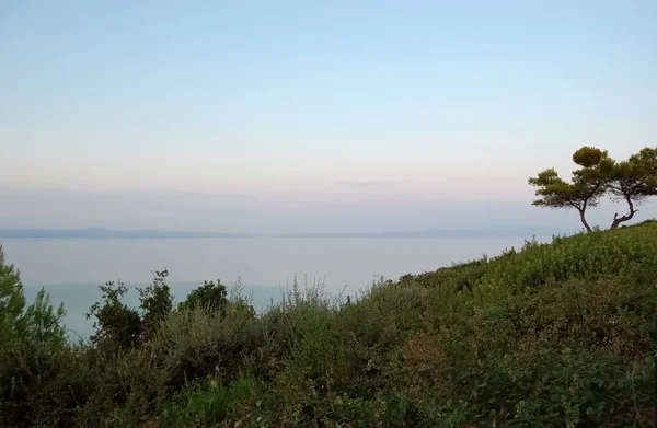 Çam Ağacı Tepeden Panoramik Deniz Günbatımı Yunan Sahili Halkidiki Yarımadası — Stok fotoğraf