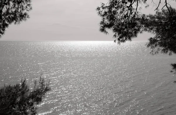 Paisaje marino en la península de Sithonia en Grecia en negro y blanco — Foto de Stock