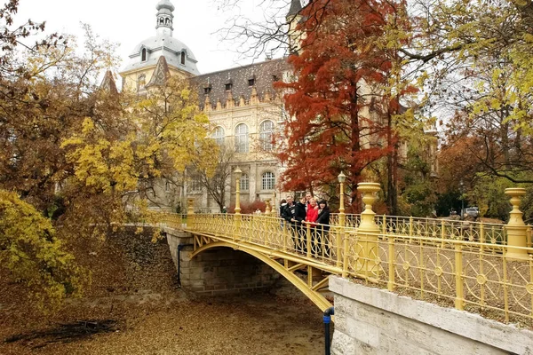 Budapeszt Węgry Października 2010 Jesienią Podczas Podróży Przyjaciele Starym Pięknym — Zdjęcie stockowe