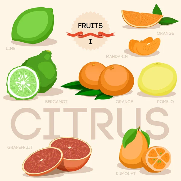 新鮮な柑橘系の果物の全体と半分フラット オレンジ グレープ フルーツ レモン分離ベクトル図の正方形のアイコン — ストックベクタ