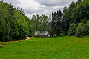 Yeşillik - orman çayır ve ev yazlık