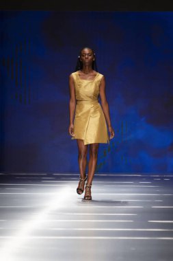 Manken Miami Moda Enstitüsü göstermek Resort 2018 koleksiyonda Miami moda hafta 2017 Miami'de Buz Sarayı'nda 31 Mayıs 2018 üzerinde sırasında pist yürür