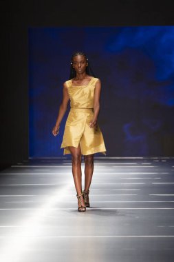 Manken Miami Moda Enstitüsü göstermek Resort 2018 koleksiyonda Miami moda hafta 2017 Miami'de Buz Sarayı'nda 31 Mayıs 2018 üzerinde sırasında pist yürür