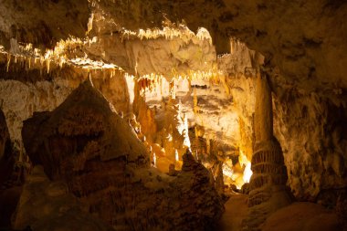 Postojna mağara, nost birini cazibe Slovenya ziyaret
