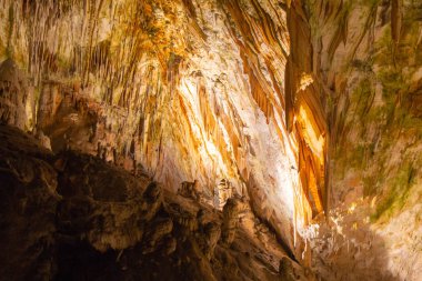 Postojna mağara, nost birini cazibe Slovenya ziyaret