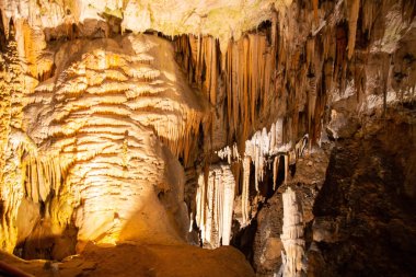 Postojna mağara, nost birini cazibe Slovenya ziyaret