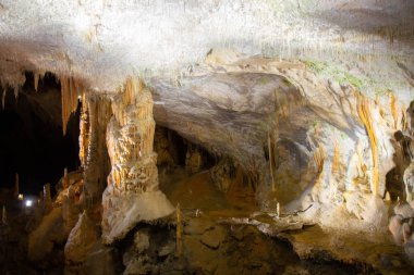 Postojna mağara, nost birini cazibe Slovenya ziyaret