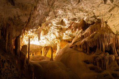 Postojna mağara, nost birini cazibe Slovenya ziyaret