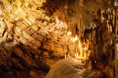 Postojna mağara, nost birini cazibe Slovenya ziyaret