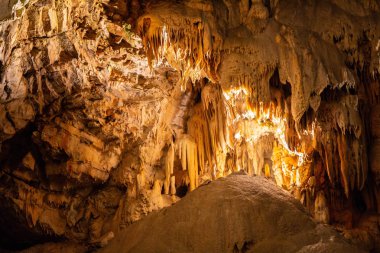 Postojna mağara, nost birini cazibe Slovenya ziyaret