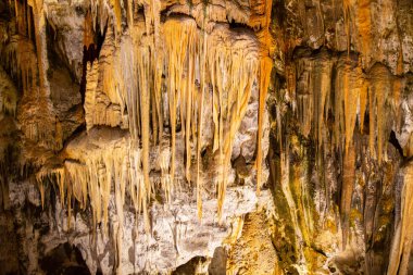 Postojna mağara, nost birini cazibe Slovenya ziyaret