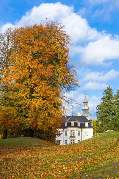 Parque Otoño Oro Cerca Del Palacio Charlottenlund Norte Copenhague —  Fotos de Stock