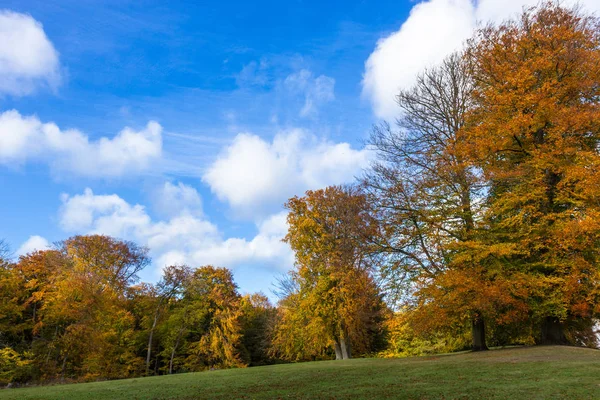 Parque Otoño Oro Cerca Del Palacio Charlottenlund Norte Copenhague —  Fotos de Stock