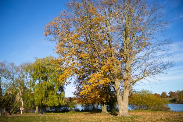 Krásný Podzimní Den Frederiksbork Parku Hilleroed Dánsko — Stock fotografie