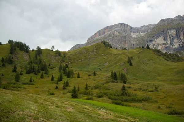 Pâturages dans les Alpes, Tyrol du Sud, Italie — Photo